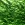 Moldavite
