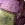 Stichtite